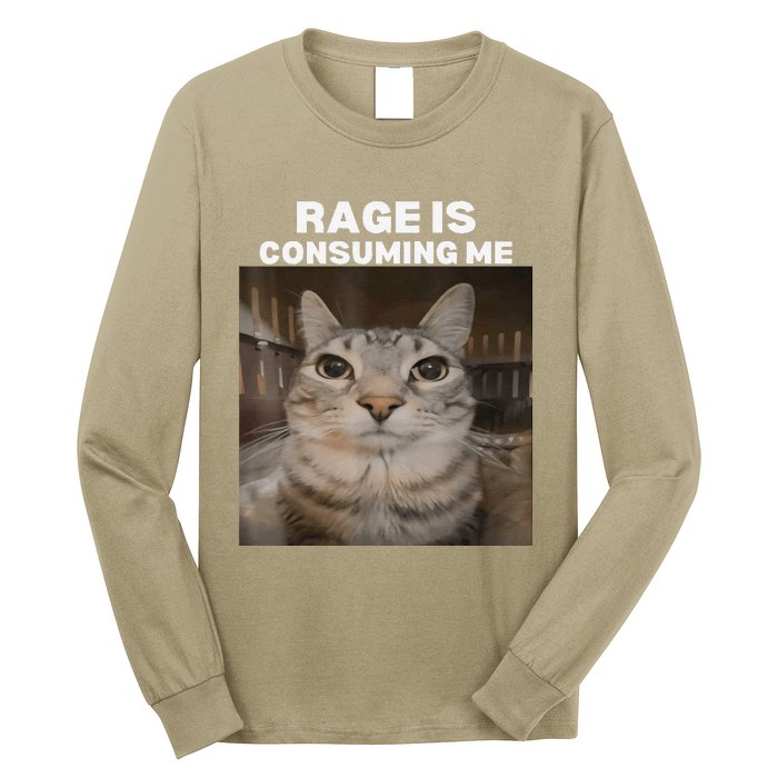 Rage Is Consuming Me Meme Cat Meme Internet Memes Funny Meme Long Sleeve Shirt