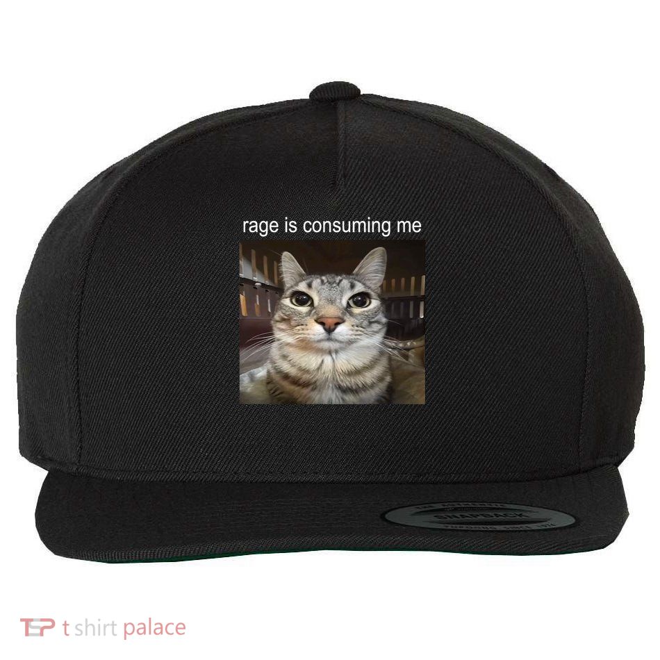 Rage Is Consuming Me Silly Staring Cat Meme Wool Snapback Cap