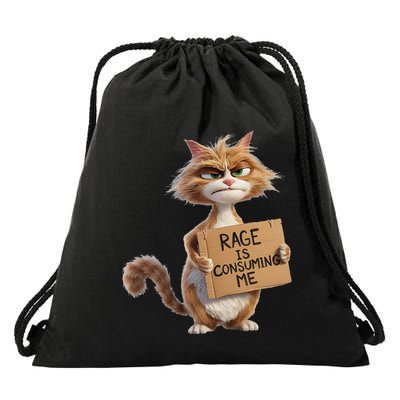 Rage Is Consuming Me Meme Cat Meme Oddly Specific Memes Joke Drawstring Bag