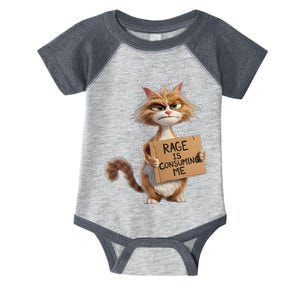 Rage Is Consuming Me Meme Cat Meme Oddly Specific Memes Joke Infant Baby Jersey Bodysuit