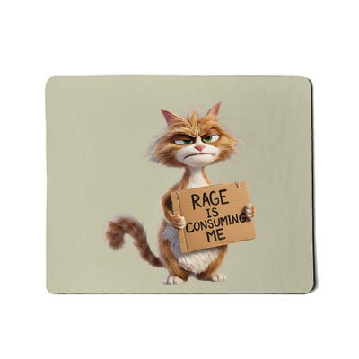 Rage Is Consuming Me Meme Cat Meme Oddly Specific Memes Joke Mousepad