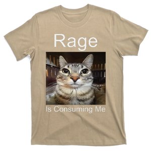 Rage Is Consuming Me Silly Staring Cat Meme T-Shirt