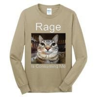 Rage Is Consuming Me Silly Staring Cat Meme Tall Long Sleeve T-Shirt