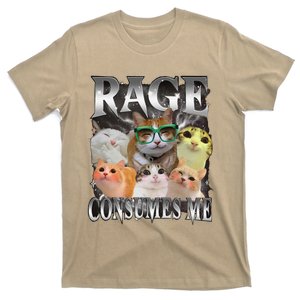 Rage Is Consuming Me Silly Staring Cat Meme T-Shirt