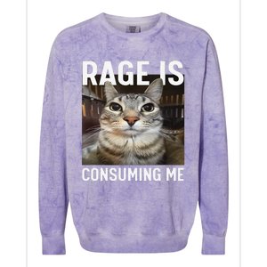 Rage Is Consuming Me Funny Cat Meme Gift Colorblast Crewneck Sweatshirt