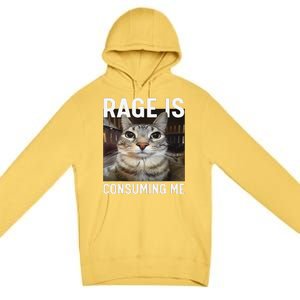 Rage Is Consuming Me Funny Cat Meme Gift Premium Pullover Hoodie