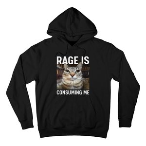 Rage Is Consuming Me Funny Cat Meme Gift Hoodie