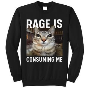 Rage Is Consuming Me Funny Cat Meme Gift Sweatshirt