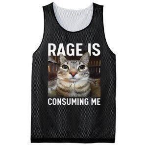 Rage Is Consuming Me Funny Cat Meme Gift Mesh Reversible Basketball Jersey Tank