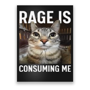 Rage Is Consuming Me Funny Cat Meme Gift Poster