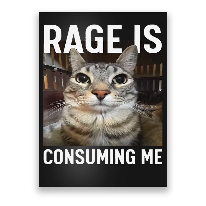 Rage Is Consuming Me Funny Cat Meme Gift Poster