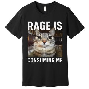 Rage Is Consuming Me Funny Cat Meme Gift Premium T-Shirt