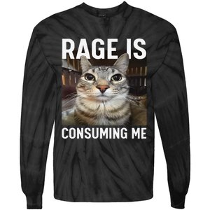 Rage Is Consuming Me Funny Cat Meme Gift Tie-Dye Long Sleeve Shirt