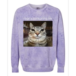 Rage Is Consuming Me Silly Staring Cat Meme Colorblast Crewneck Sweatshirt