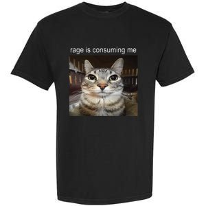 Rage Is Consuming Me Silly Staring Cat Meme Garment-Dyed Heavyweight T-Shirt