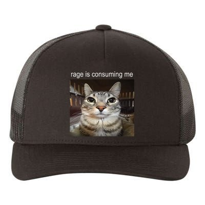 Rage Is Consuming Me Silly Staring Cat Meme Yupoong Adult 5-Panel Trucker Hat