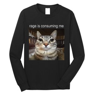 Rage Is Consuming Me Silly Staring Cat Meme Long Sleeve Shirt