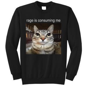 Rage Is Consuming Me Silly Staring Cat Meme Sweatshirt