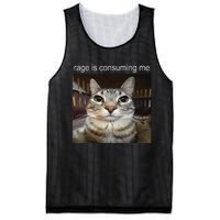 Rage Is Consuming Me Silly Staring Cat Meme Mesh Reversible Basketball Jersey Tank