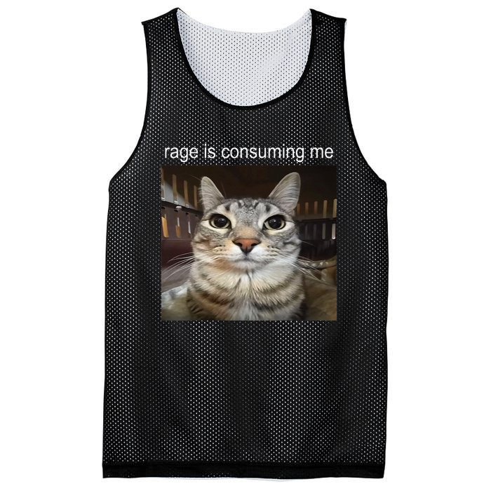 Rage Is Consuming Me Silly Staring Cat Meme Mesh Reversible Basketball Jersey Tank