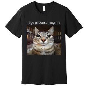 Rage Is Consuming Me Silly Staring Cat Meme Premium T-Shirt