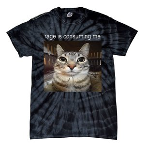 Rage Is Consuming Me Silly Staring Cat Meme Tie-Dye T-Shirt