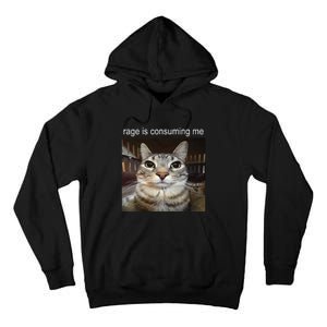 Rage Is Consuming Me Silly Staring Cat Meme Tall Hoodie