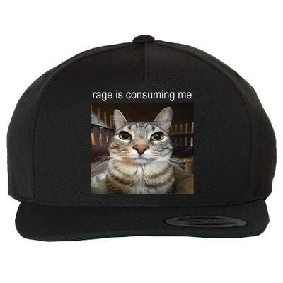 Rage Is Consuming Me Silly Staring Cat Meme Wool Snapback Cap