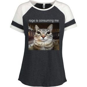 Rage Is Consuming Me Silly Staring Cat Meme Enza Ladies Jersey Colorblock Tee