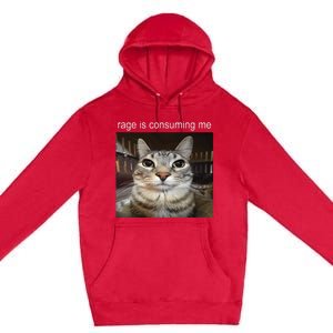 Rage Is Consuming Me Silly Staring Cat Meme Premium Pullover Hoodie