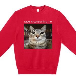 Rage Is Consuming Me Silly Staring Cat Meme Premium Crewneck Sweatshirt