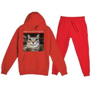 Rage Is Consuming Me Silly Staring Cat Meme Premium Hooded Sweatsuit Set