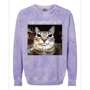 Rage Is Consuming Me Silly Staring Cat Meme Colorblast Crewneck Sweatshirt