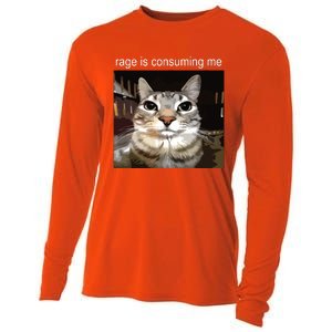 Rage Is Consuming Me Silly Staring Cat Meme Cooling Performance Long Sleeve Crew