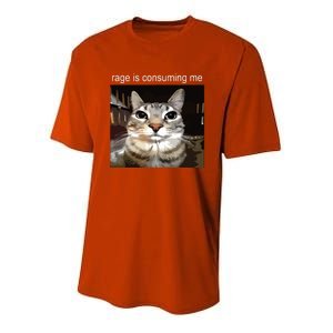 Rage Is Consuming Me Silly Staring Cat Meme Youth Performance Sprint T-Shirt