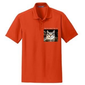 Rage Is Consuming Me Silly Staring Cat Meme Dry Zone Grid Polo