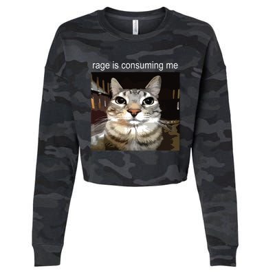 Rage Is Consuming Me Silly Staring Cat Meme Cropped Pullover Crew