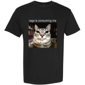 Rage Is Consuming Me Silly Staring Cat Meme Garment-Dyed Heavyweight T-Shirt