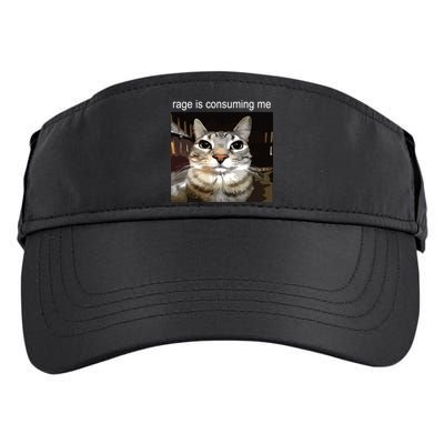 Rage Is Consuming Me Silly Staring Cat Meme Adult Drive Performance Visor