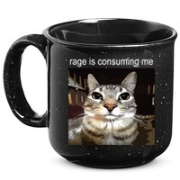 Rage Is Consuming Me Silly Staring Cat Meme 15oz Campfire Ceramic Mug