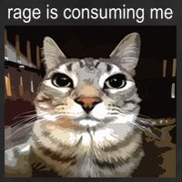Rage Is Consuming Me Silly Staring Cat Meme 15oz Campfire Ceramic Mug