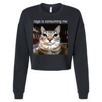Rage Is Consuming Me Silly Staring Cat Meme Cropped Pullover Crew