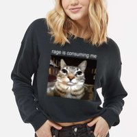 Rage Is Consuming Me Silly Staring Cat Meme Cropped Pullover Crew