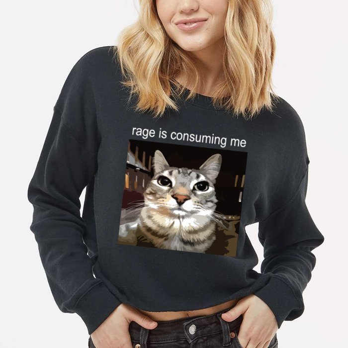 Rage Is Consuming Me Silly Staring Cat Meme Cropped Pullover Crew