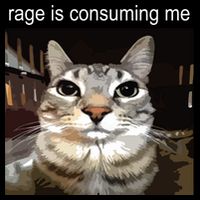 Rage Is Consuming Me Silly Staring Cat Meme Cropped Pullover Crew
