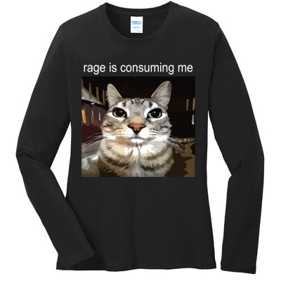 Rage Is Consuming Me Silly Staring Cat Meme Ladies Long Sleeve Shirt