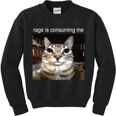 Rage Is Consuming Me Silly Staring Cat Meme Kids Sweatshirt