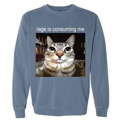 Rage Is Consuming Me Silly Staring Cat Meme Garment-Dyed Sweatshirt