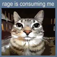 Rage Is Consuming Me Silly Staring Cat Meme Garment-Dyed Sweatshirt