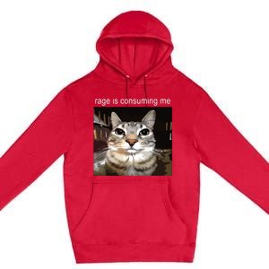 Rage Is Consuming Me Silly Staring Cat Meme Premium Pullover Hoodie